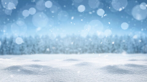 Прогнозата на проф. Георги Рачев: Очакват ни дъжд, сняг, поледици и ледени дни