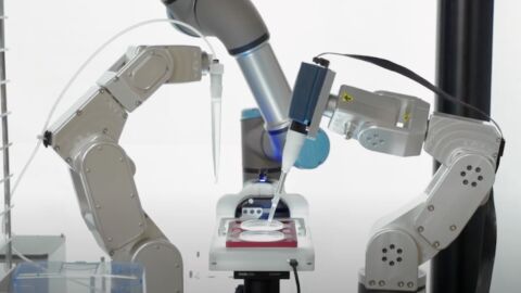 19 бебета се родиха от ембриони, създадени от AI робот