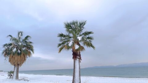 Сняг, заледявания и силни ветрове: Опасни условия за пътуване, Гърция затваря училище (СНИМКИ, ВИДЕО)