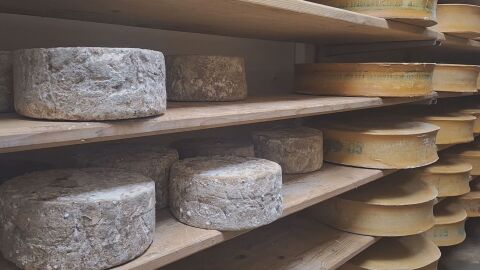 Вкус от Алпите: Тайните на бофор – едно от сирената в традиционното фондю