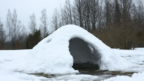 11-годишно дете загина в снежна пещера, която направило в двора на училището си