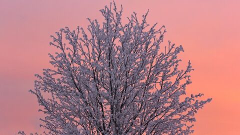 Опасно студено време днес, 18 януари, в цялата страна