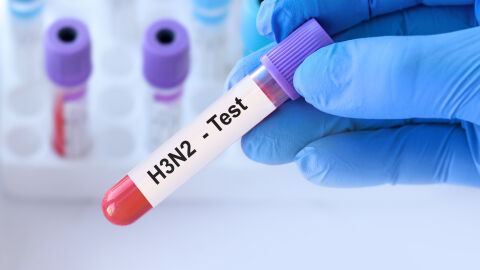 Две области са в грипна епидемия – Варна и Добрич, Бургас е на прага на епидемия