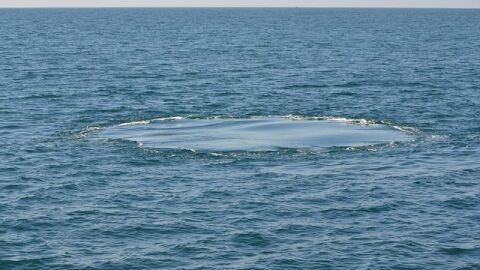 Откриха гигантска дупка в океана, пълна с мистериозни вируси 