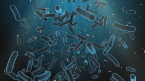 Ръст на антибиотичната резистентност у нас: Какъв е отговорът на държавата?