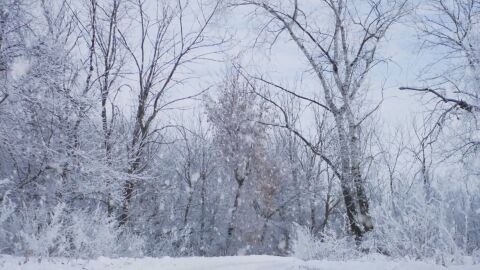 Облачно и дъждовно днес, на места почти цял ден ще вали сняг
