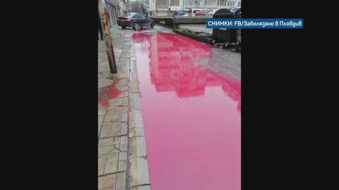 Мистериозни червени локви се появиха в Пловдив (ВИДЕО И СНИМКИ)