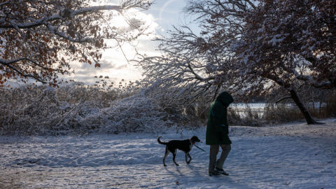 Февруари ни посреща със сняг, студ и поледици
