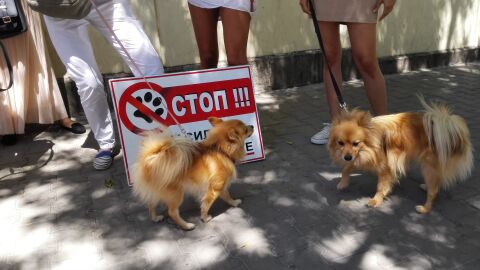 Протест срещу насилието над животни ще се проведе в София