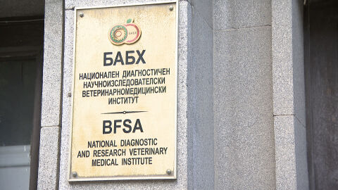 Откриха над 10 тона месо в незаконна кланица в град Дебелец