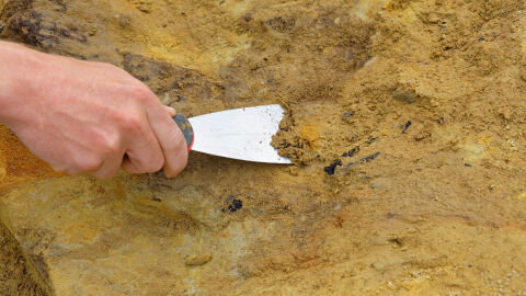 Археолози разкриха древни следи от живот в Лом при разкопките на Алмус
