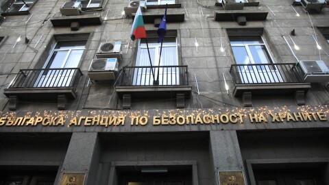 БАБХ: Има риск за пчелите заради забранени вещества в семената за посев 