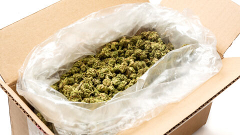 Конфискуваха 40 тона марихуана в Северна Македония