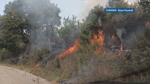 Снимка: Продължава да бушува пожарът между белоградчишките села Граничак и Дъбравка