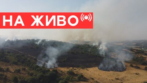 Снимка: Пожарите в България: 60 хиляди декара изпепелени в Сакар, изгорели постройки край Сливен (НА ЖИВО)