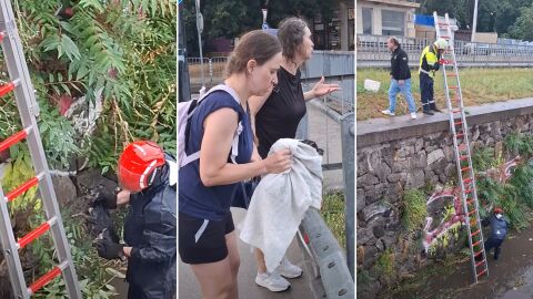 Снимка: Пожарникари спасиха кученце от водите на Лъвов мост след мощната буря в София (ВИДЕО)