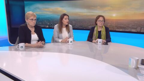 Снимка: Румяна Коларова: Скандалът с полетите на Пеевски е неестествен, защото е в адвокатски стил