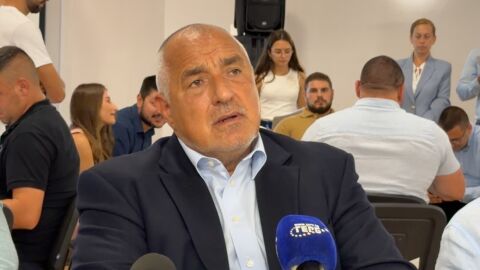 Снимка: Бойко Борисов: Правителството на Румен Радев имитира работа (ВИДЕО)