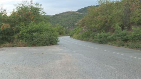 Снимка: Пътища джунгли във Врачанско: Непочистени храсти създават опасност за шофьорите