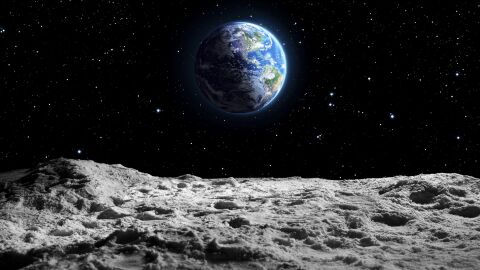 Учени отгледаха нахут в лунна „почва“ с помощта на торни червеи и гъби