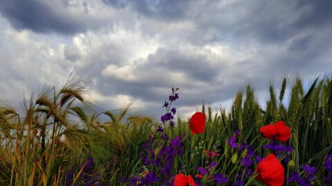 Облачно, но температурите остават високи в понеделник – 20 април