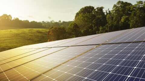 Слънчеви панели съзадават растителност в пустиня в Китай