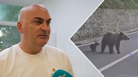 Нападнатият от мечка в Румъния българин: Стъклото на автомобила беше вестник за нея. За секунди влезе при мен