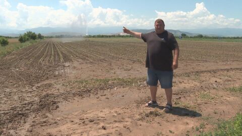 Инициативата „Кошница с грижа“: Притеснения сред производителите на оранжерийна продукция