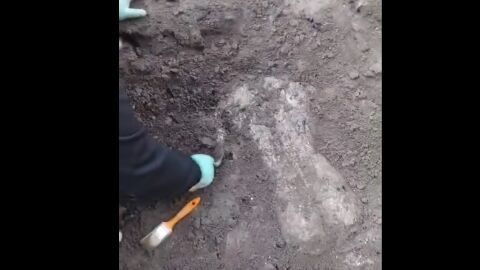 Още открития на Хераклея Синтика - мраморен торс може да е на Аполон или Дионис (ВИДЕО)