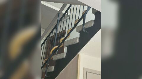 Паника в жилищен блок в Пловдив заради голяма змия (ВИДЕО)