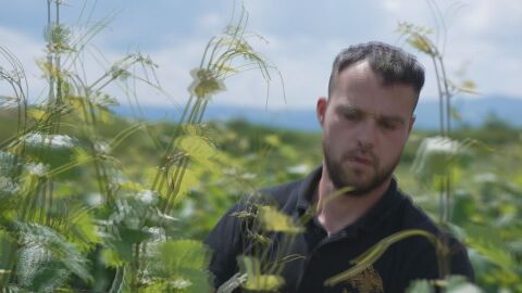 Снимка: Всяка лозова редица носи историята на един род: Петър прави първото си вино, когато е на 19 – с 60-годишни бъчви