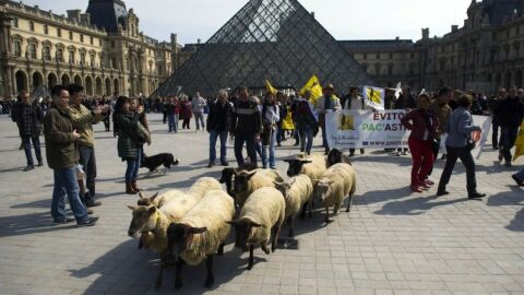 Наводнение в Лувъра е повредило стотици ценни книги и трудове