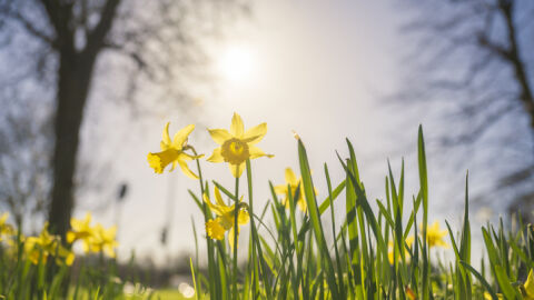 Минусови температури тази сутрин, но после до 15 градуса