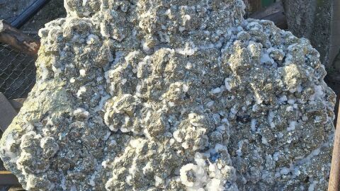 "Символ на упорита работа, вековна традиция и несломим дух": Извадиха гигантски кристал с дължина 1,40 м и ширина 1,20 м 