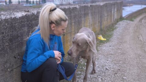 Жена скочи в 7-метров преливник, за да спаси кучето си