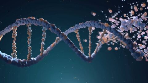 Защо остаряваме? Интервю на Виктория Петрова с проф. Бьорн Шумахер