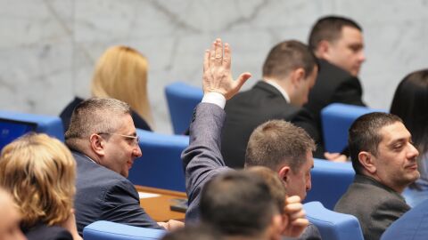 Кабинетът трябва да внесе в парламента проектозакон за присъединяването ни към Устава на Съвета за мир