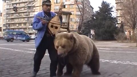 Историята на Ради Иванов - последният мечкадар в България