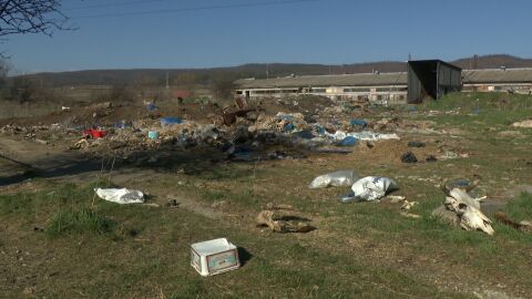 След разкрития канал за месо: Как върви разследването на случая? 