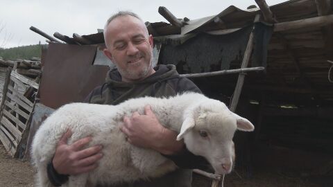 „Щастливи сме, че са живи“: Стопанинът за спасените овце и агънце