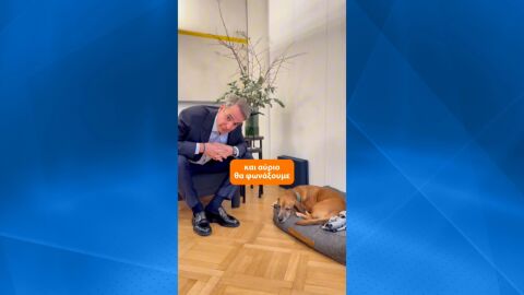 Първата по рода си операция: Специален полет евакуира гърци и техните домашни любимци от Близкия изток