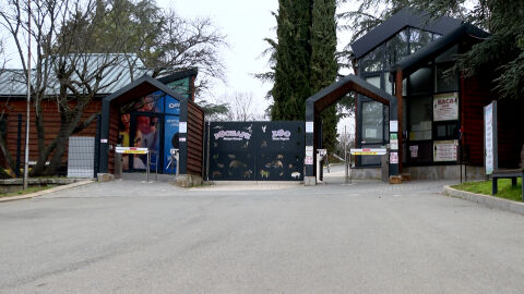 Кражба на кутия с дарения за болно дете от зоопарка в Стара Загора