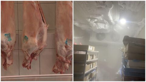 БАБХ затвори месопреработвателно предприятие в Монтана