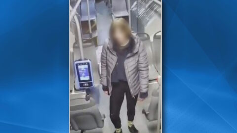 С решение на СГС: Жената, намушкала четирима в София, остава в ареста