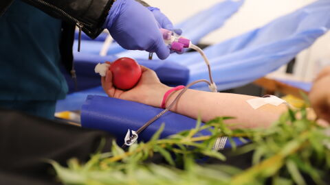 "Вземи върбова клонка и дари кръв": ВМА с кръводарителска акция на Цветница