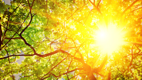 Температурите между 16 и 21 градуса в петък