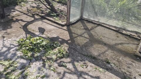 Агенцията за социално подпомагане е в готовност да подкрепи пострадали от валежи и градушки