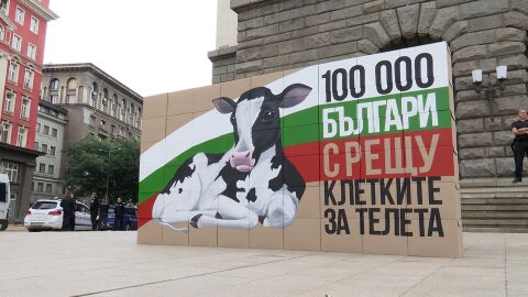 Хора в клетки протестират пред парламента