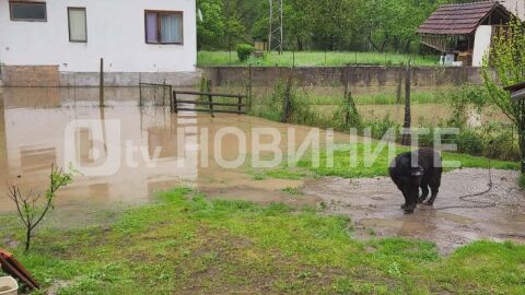 Проливните дъждове: Река Вит излезе от коритото си и заля дворове в Тетевен (ВИДЕО и СНИМКИ)