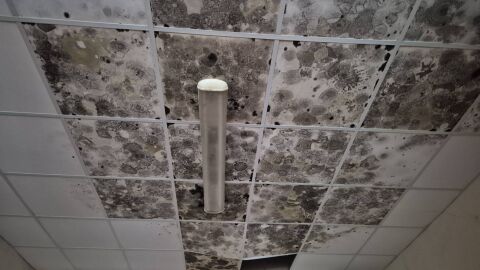 След ремонт за милиони: Мухъл и рушащи се стени в държавна психиатрия в Севлиево(СНИМКИ)